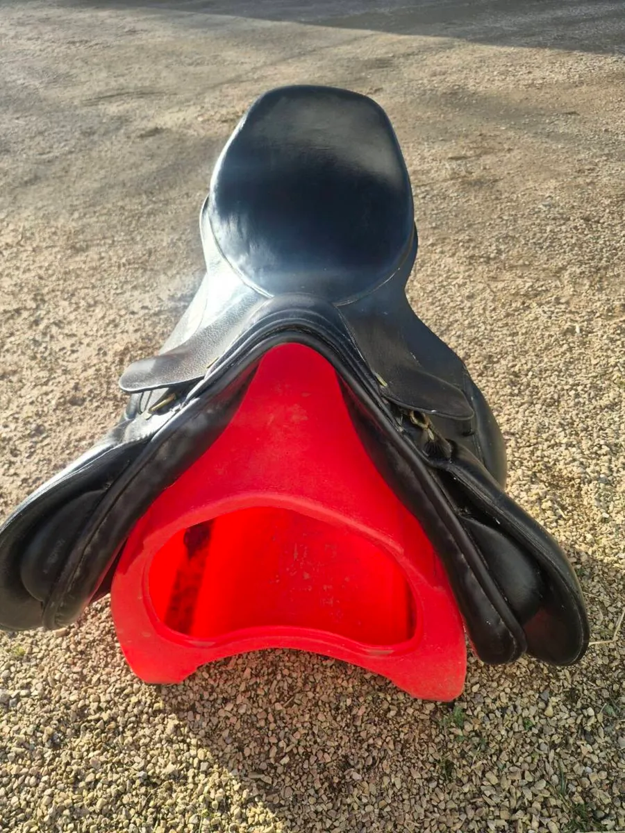 17" Jump Saddle - Image 2