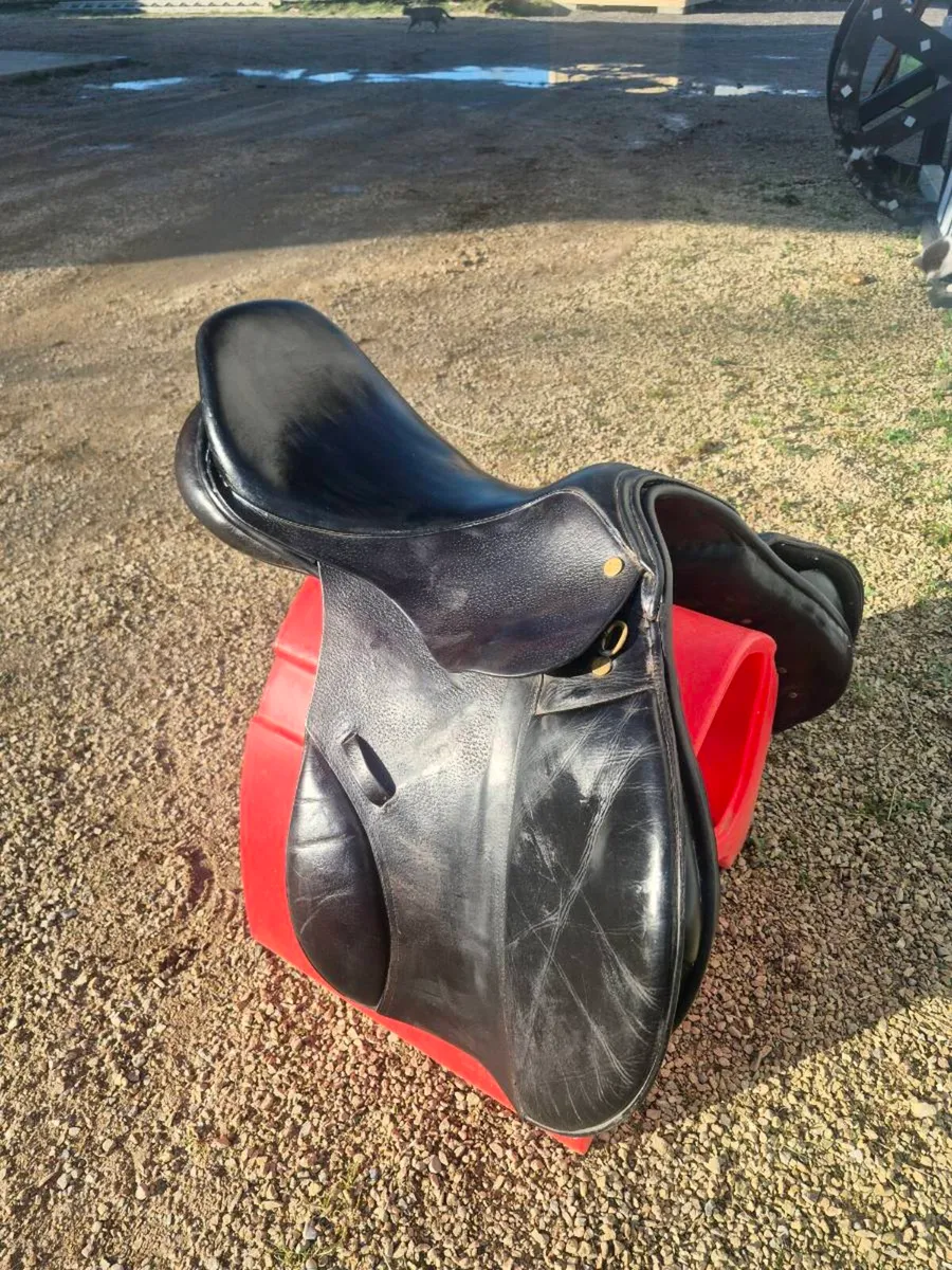 17" Jump Saddle - Image 1