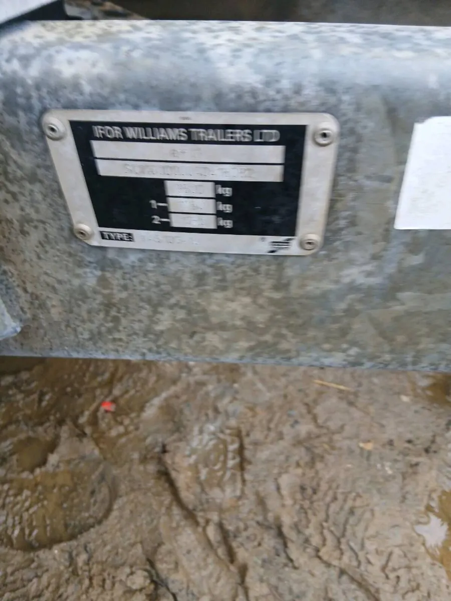 cattle trailer - Image 2