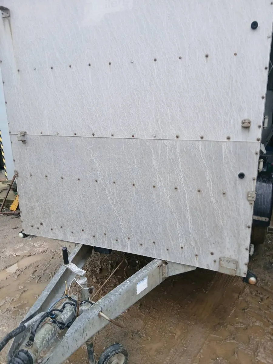 cattle trailer - Image 3