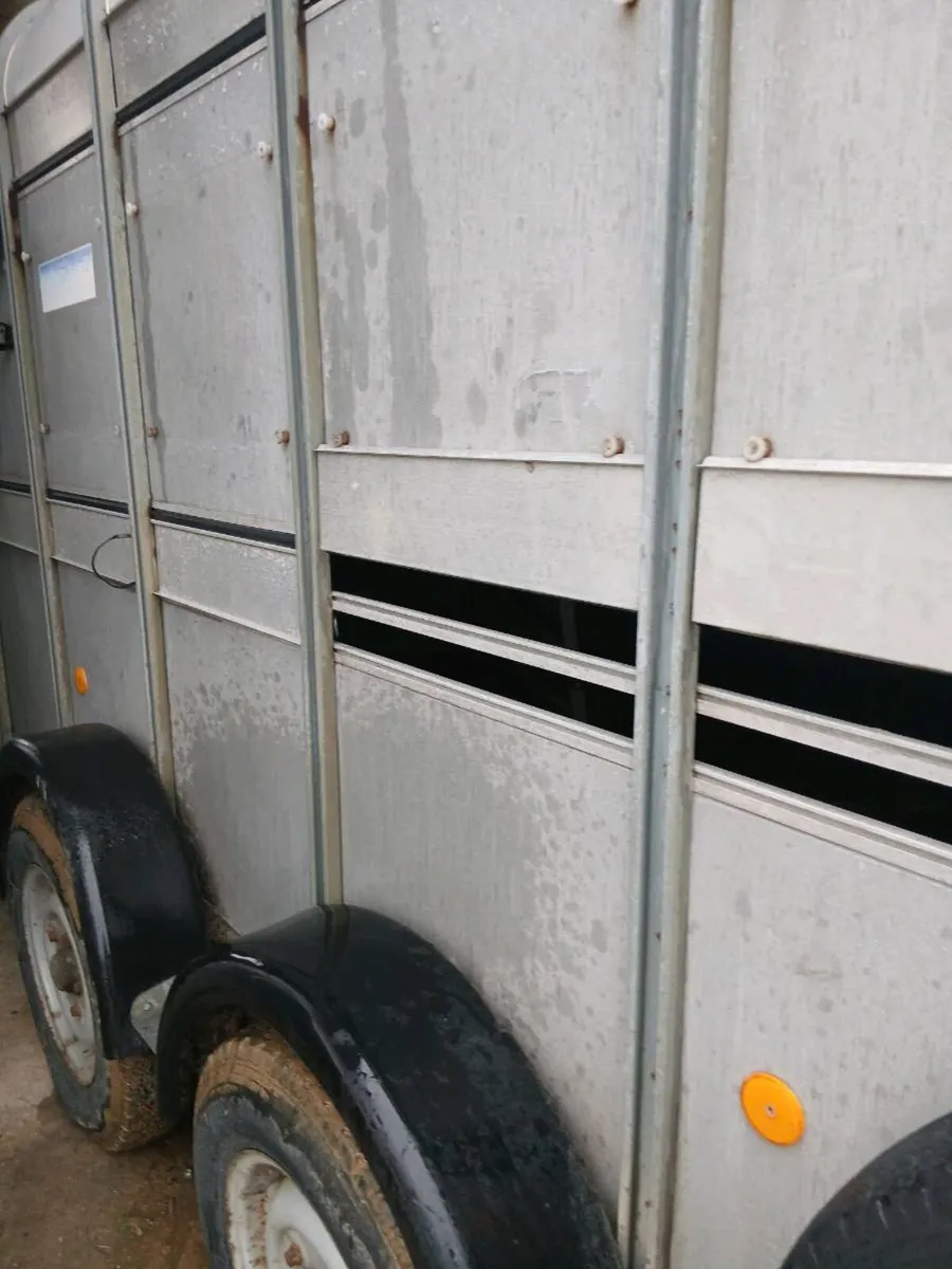cattle trailer - Image 4