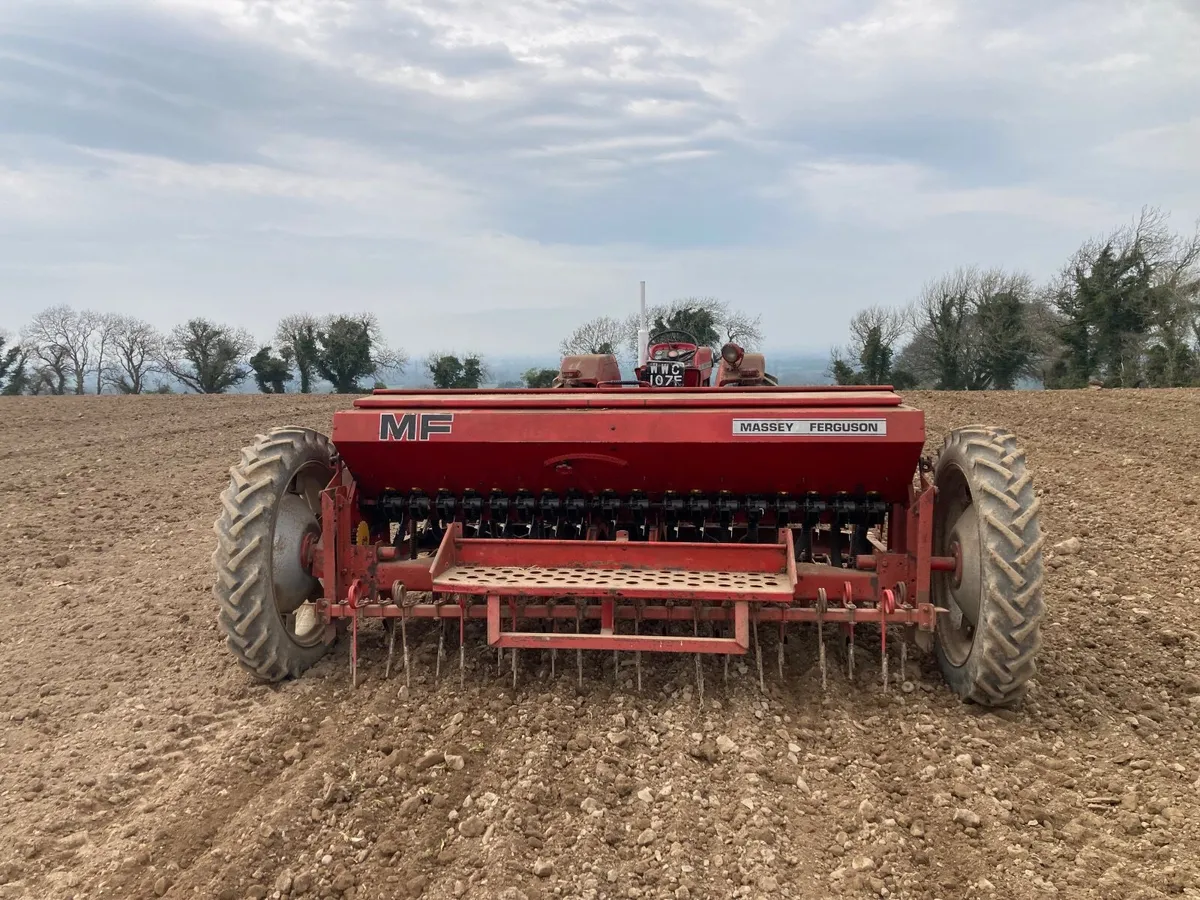 Massey Ferguson Corn Drill - Image 1