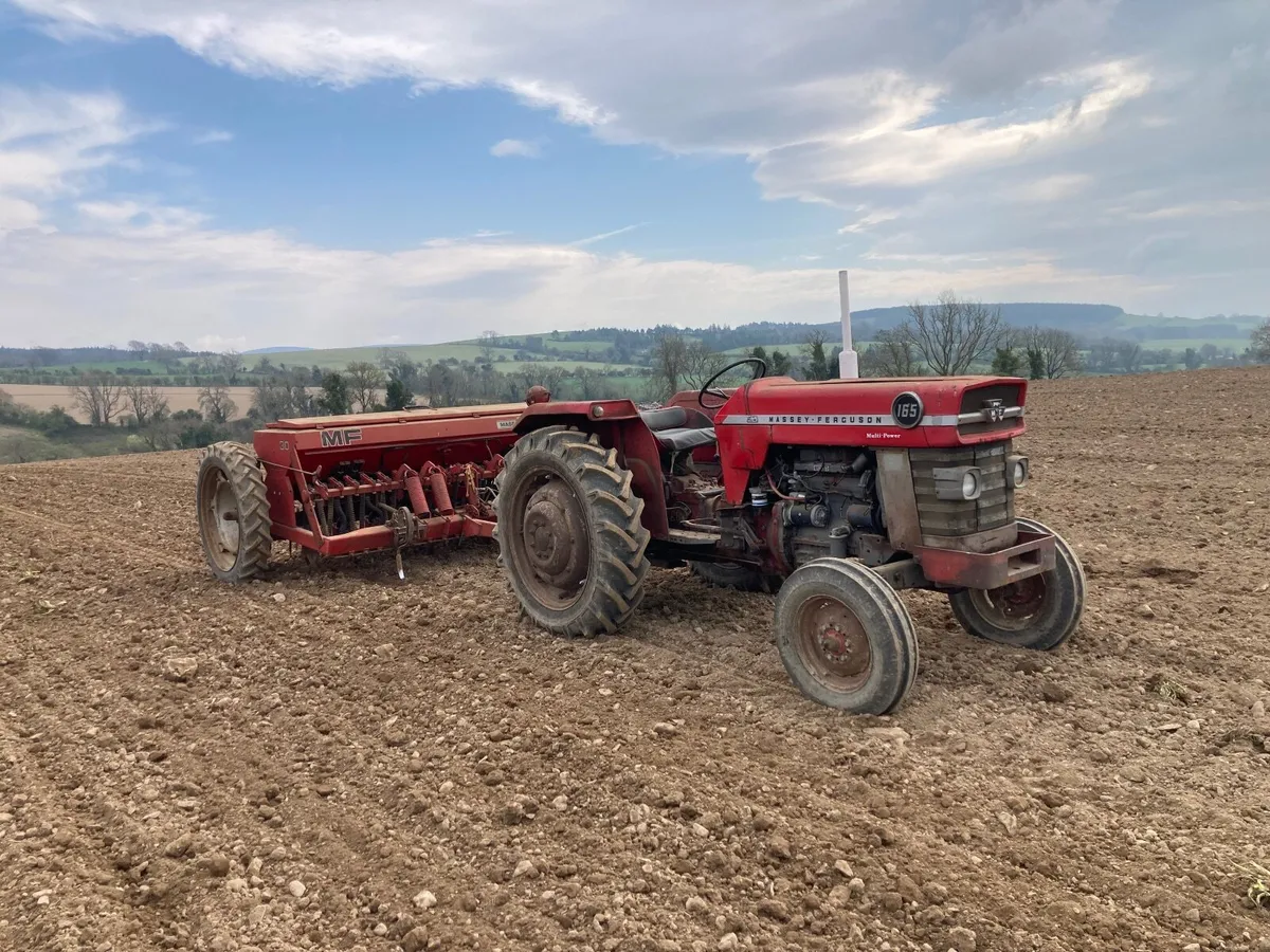 Massey Ferguson Corn Drill - Image 3