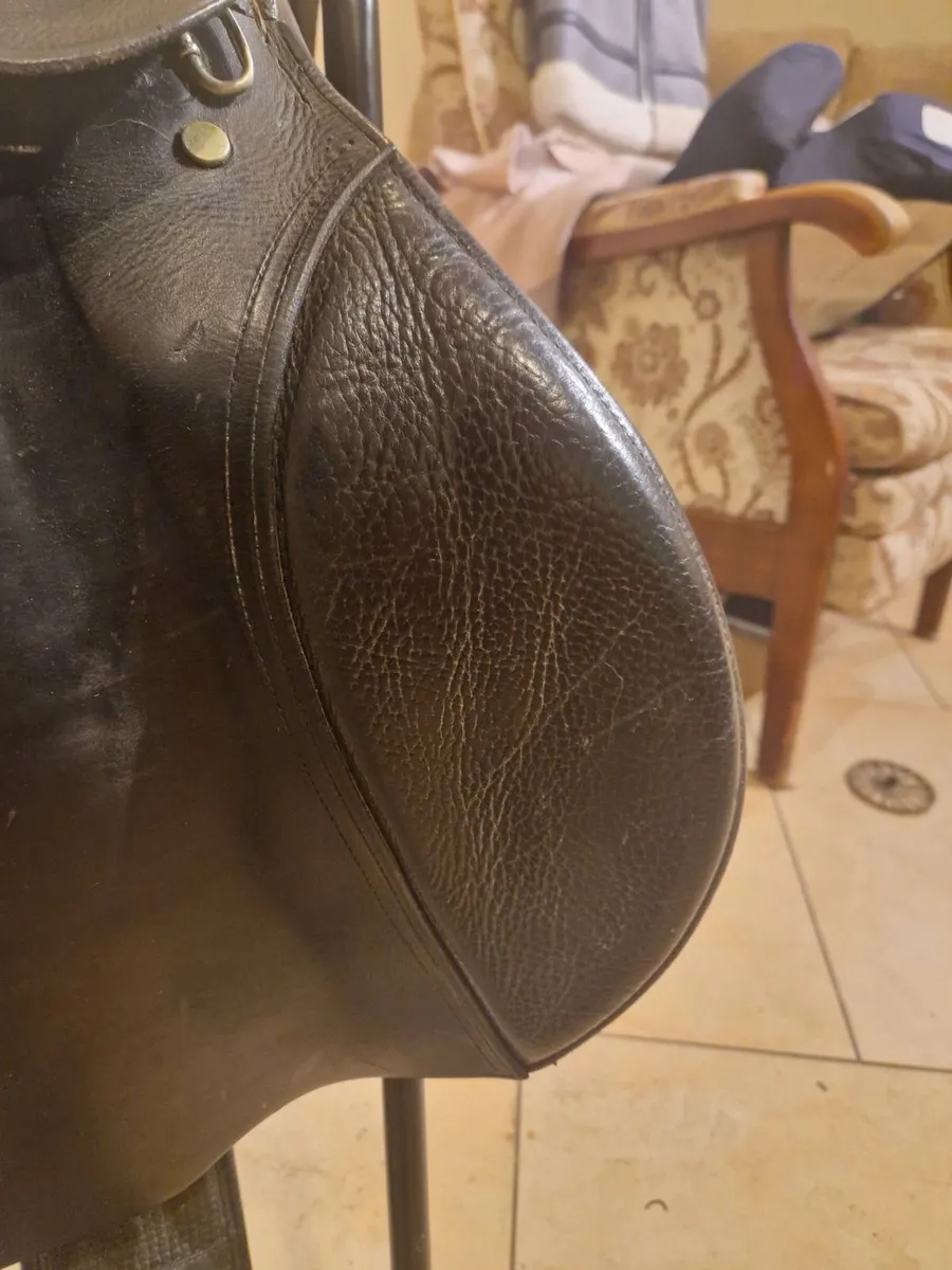 Saddle - Image 3