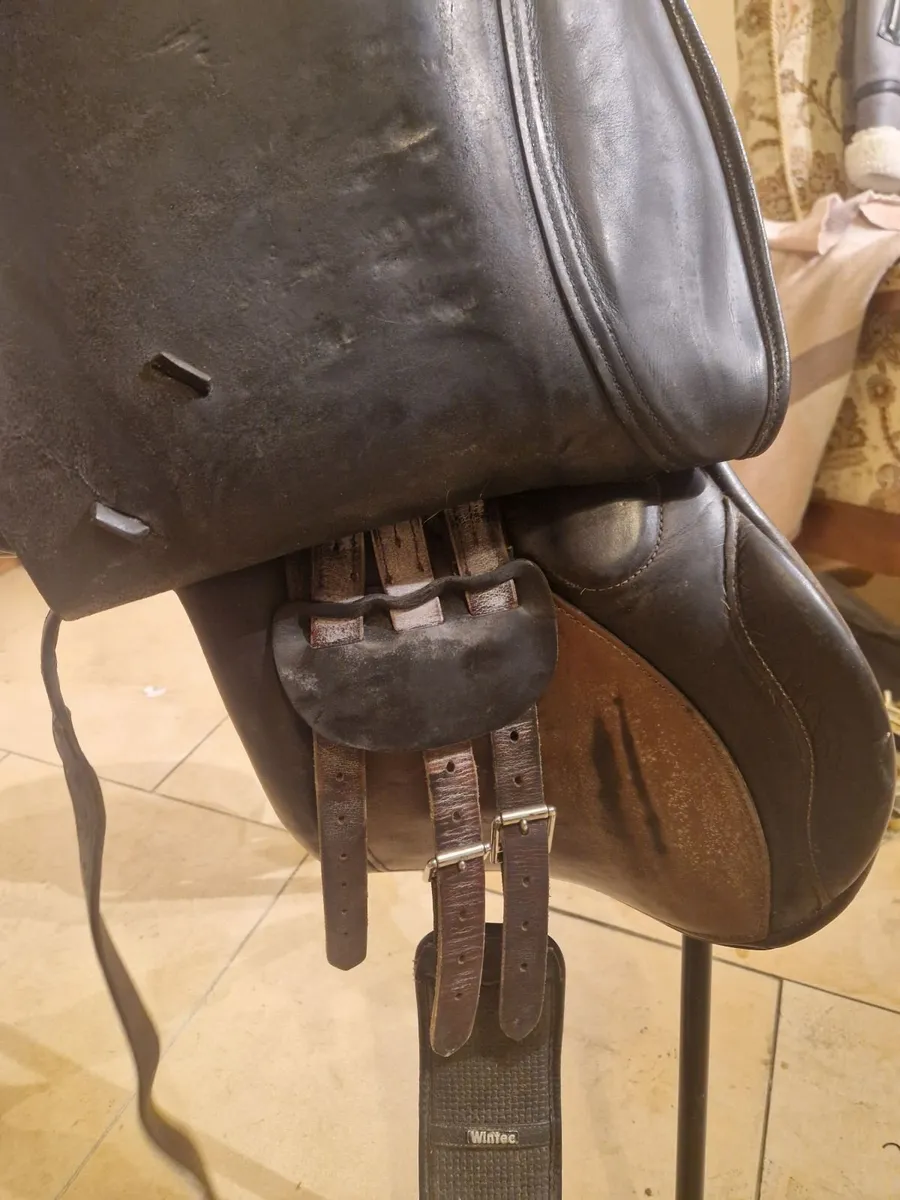 Saddle - Image 4