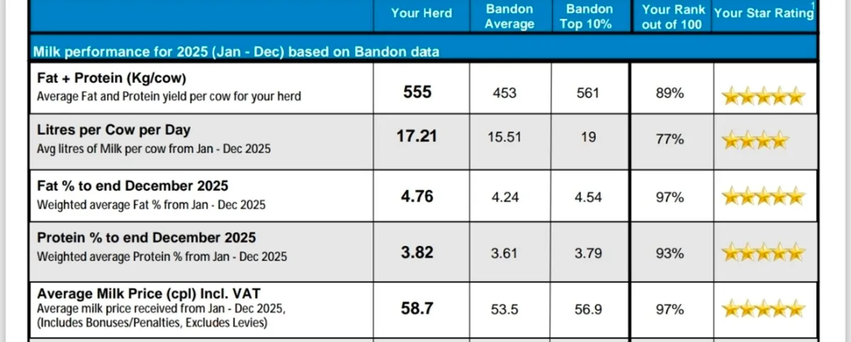 FR heifer calves for sale - Image 3