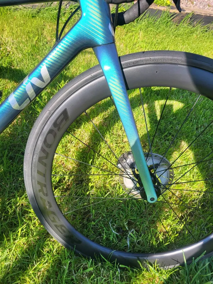 Liv langma 2022 - Image 2