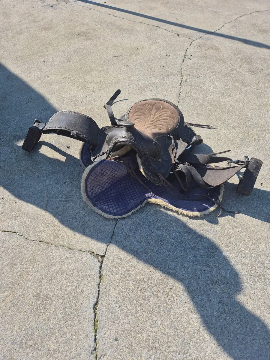 Saddle - Image 1