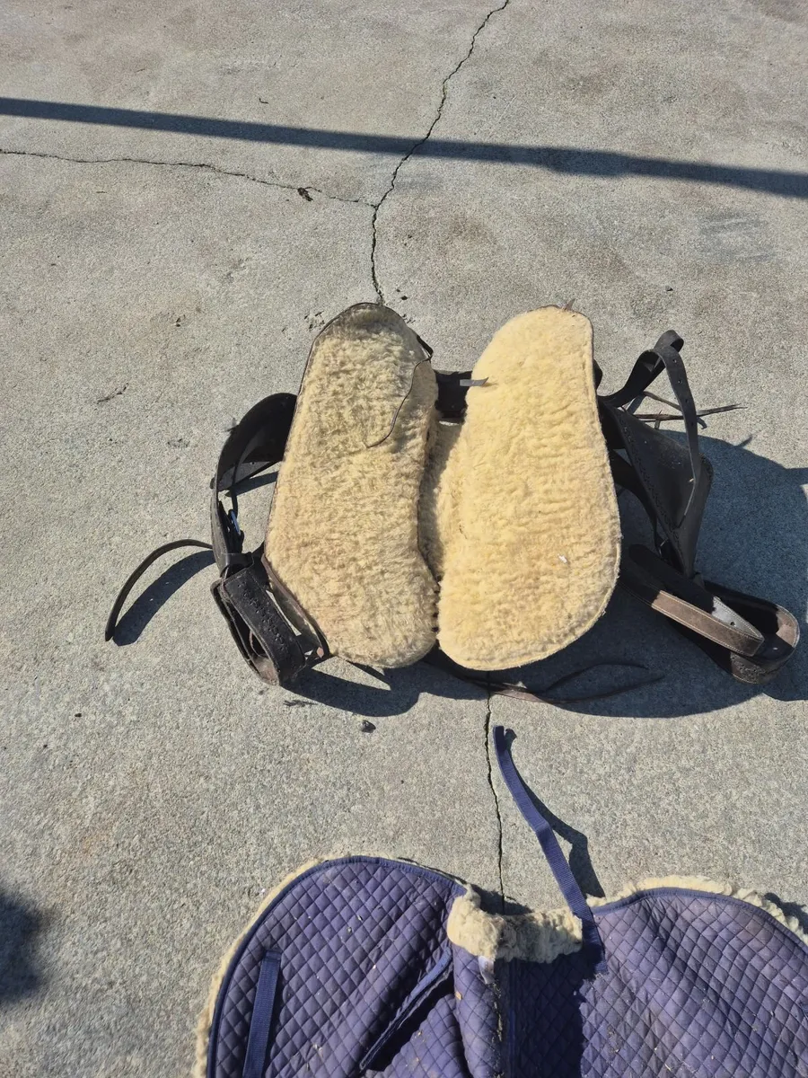 Saddle - Image 2