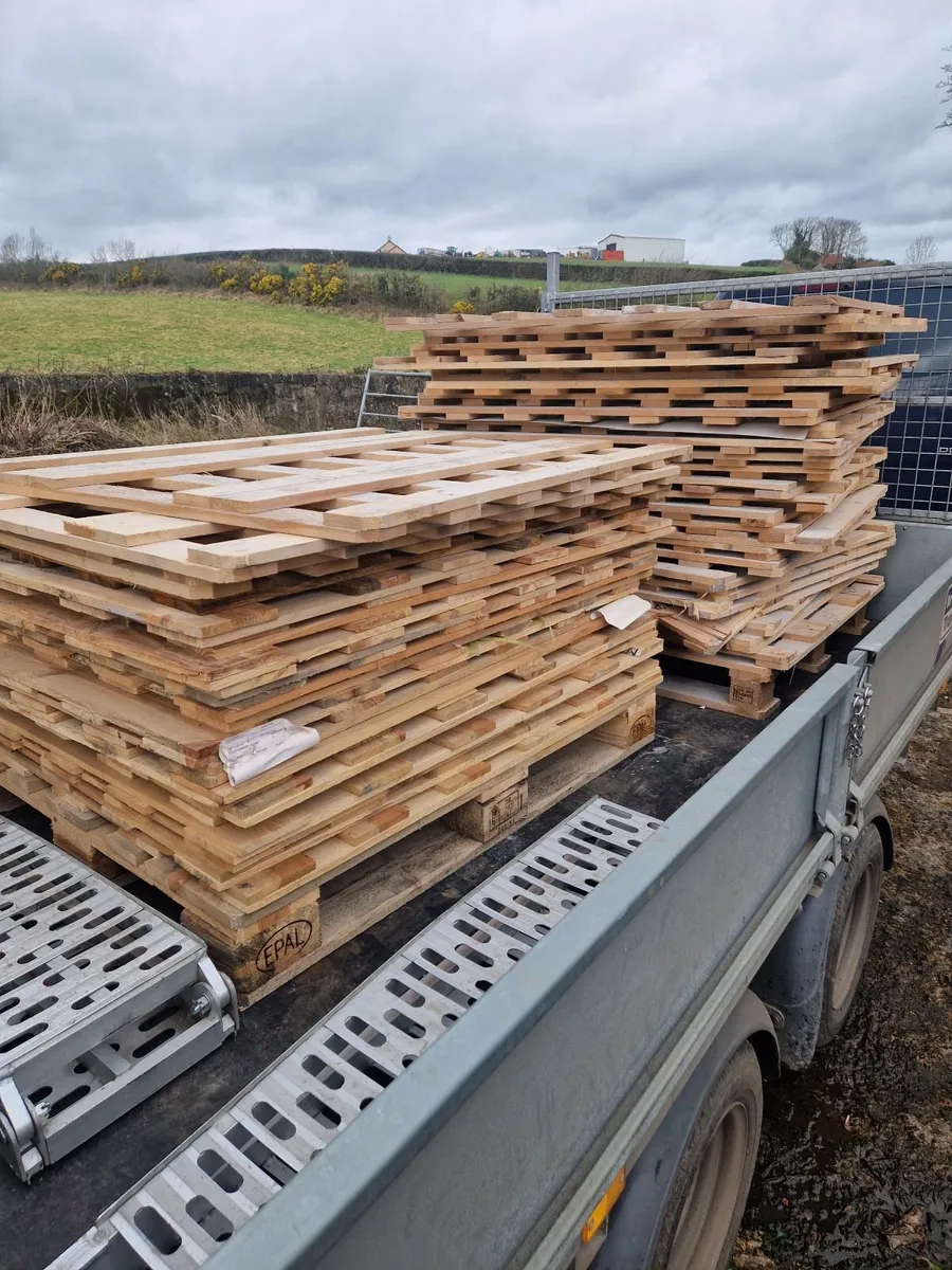 Sheep hurdles - Image 4