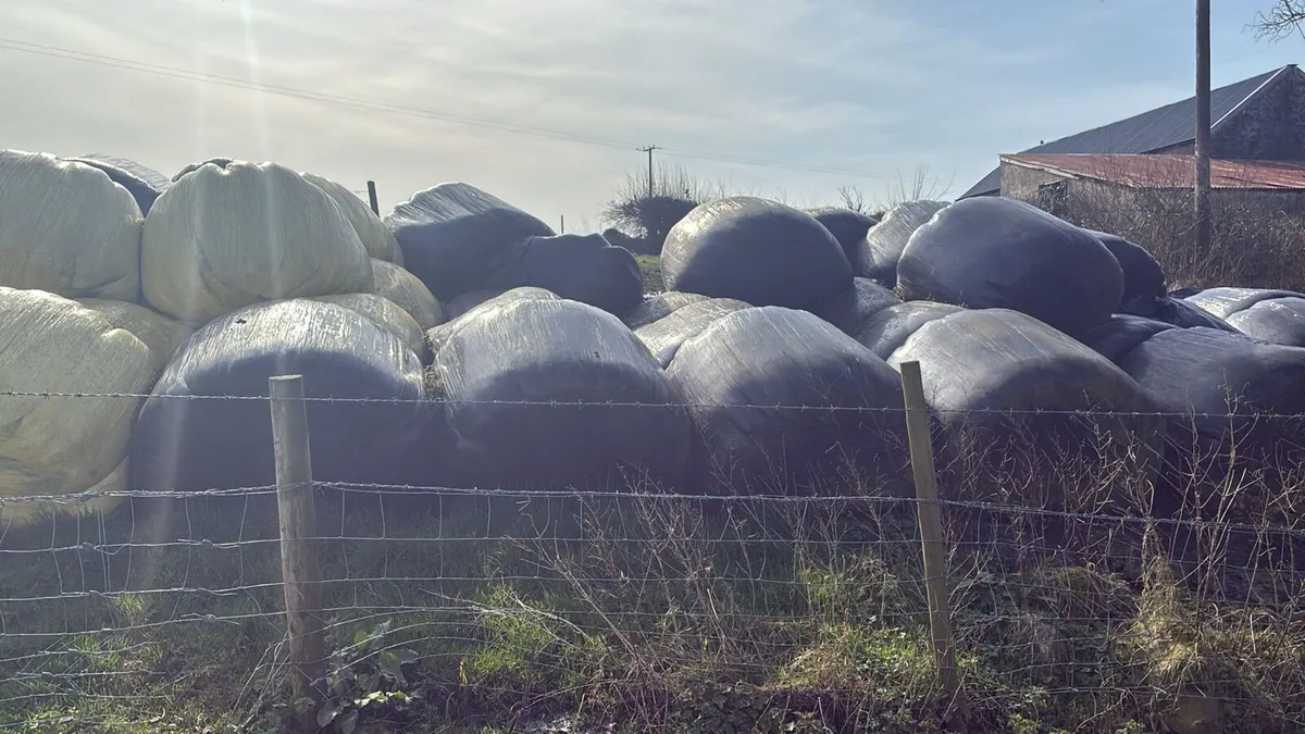 Round Bale Silage