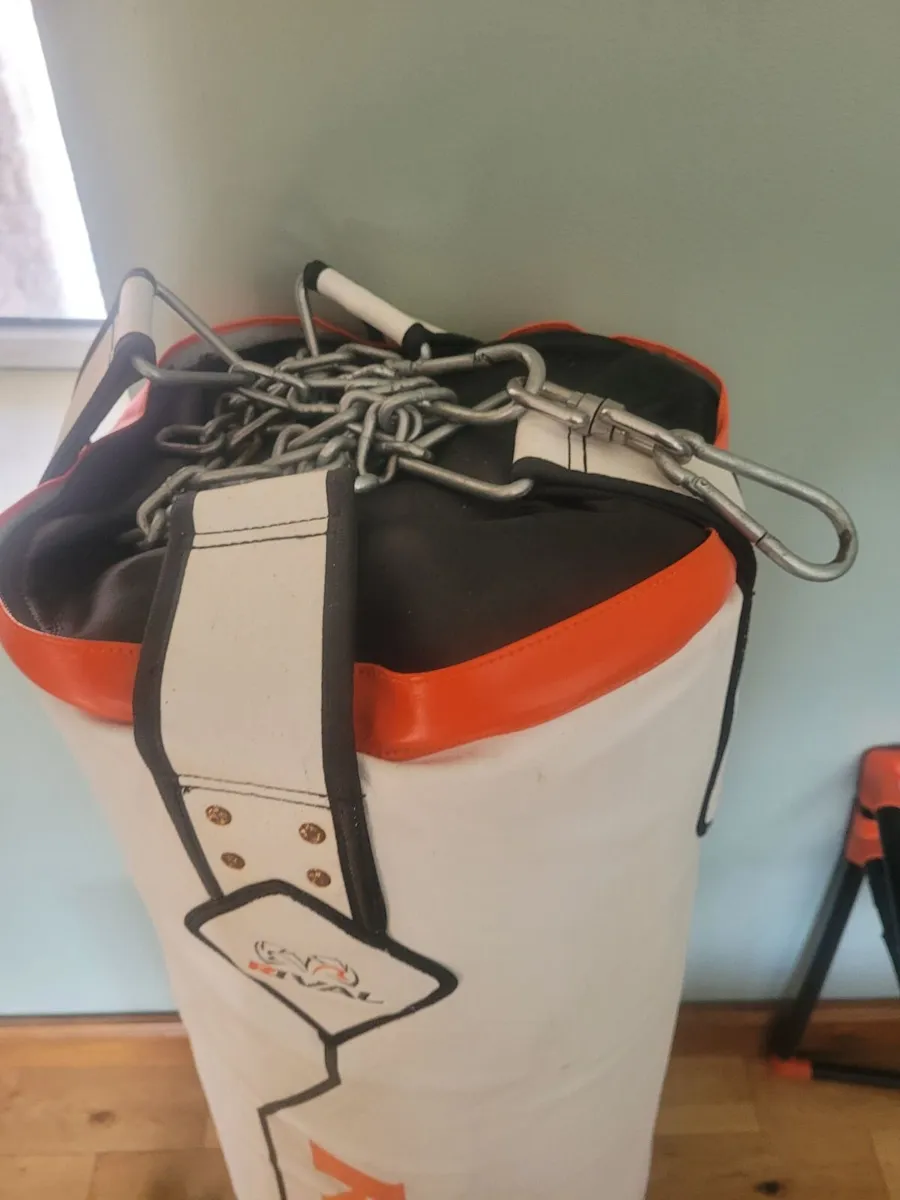 Gym Gear Punch Bag/Press Weights - Image 3