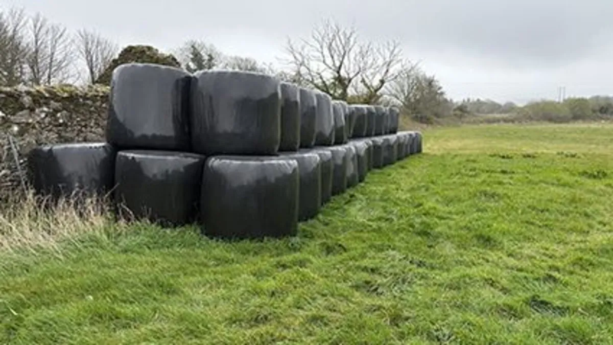 Silage bales - Image 1