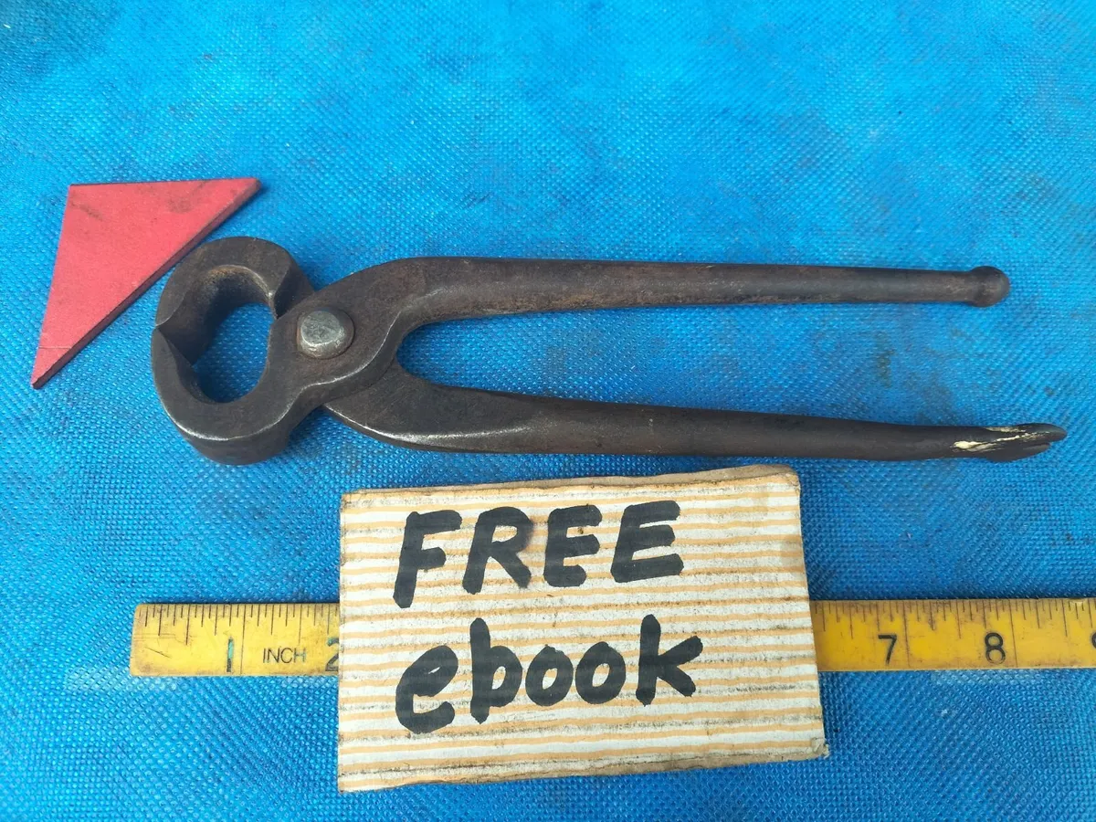 8" Pincers - Image 1