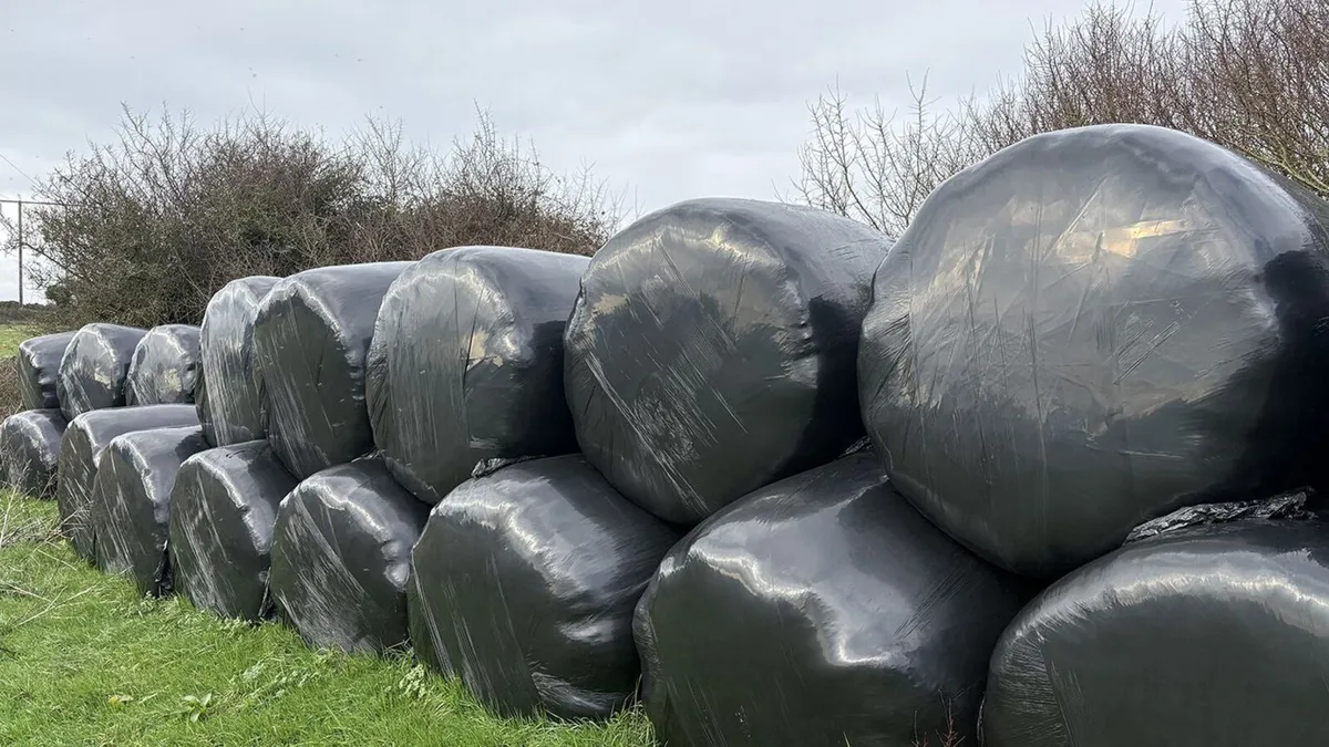 Silage bales - Image 2