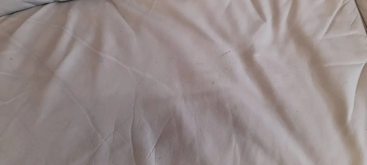 Leather Sofa - Image 3