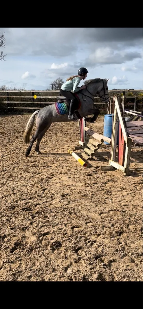 13.2 Connemara cross - Image 3