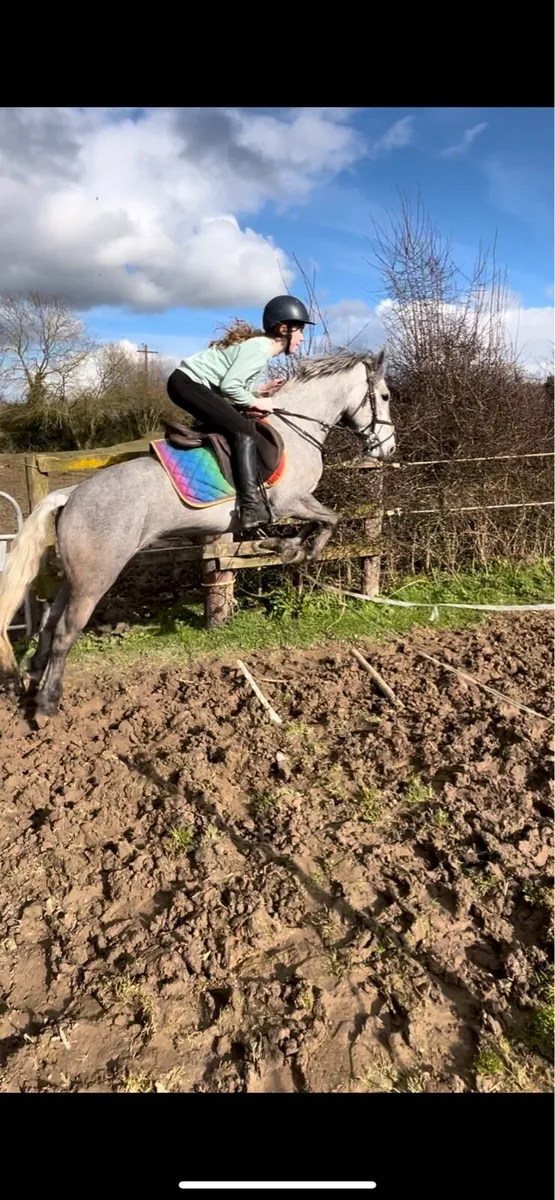 13.2 Connemara cross - Image 4