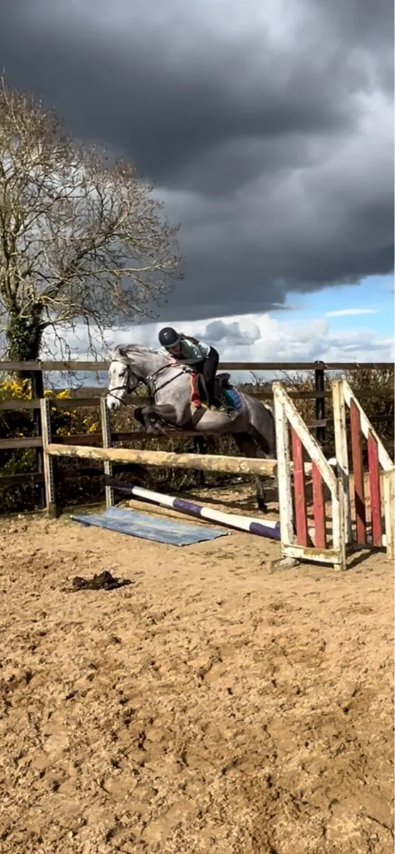 13.2 Connemara cross - Image 1