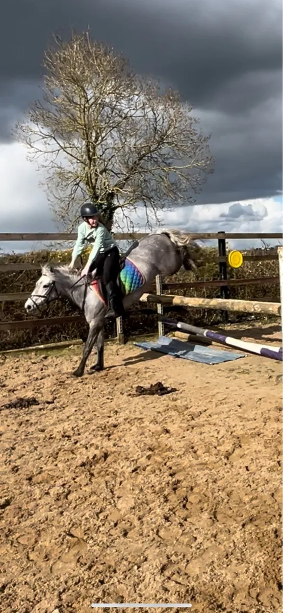 13.2 Connemara cross - Image 2