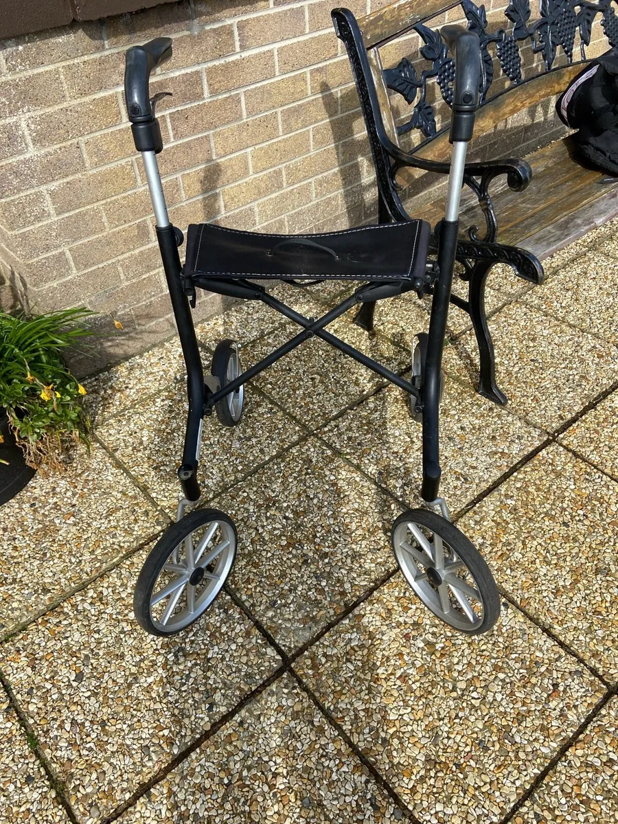 Trust. Walking. Aid - Image 2