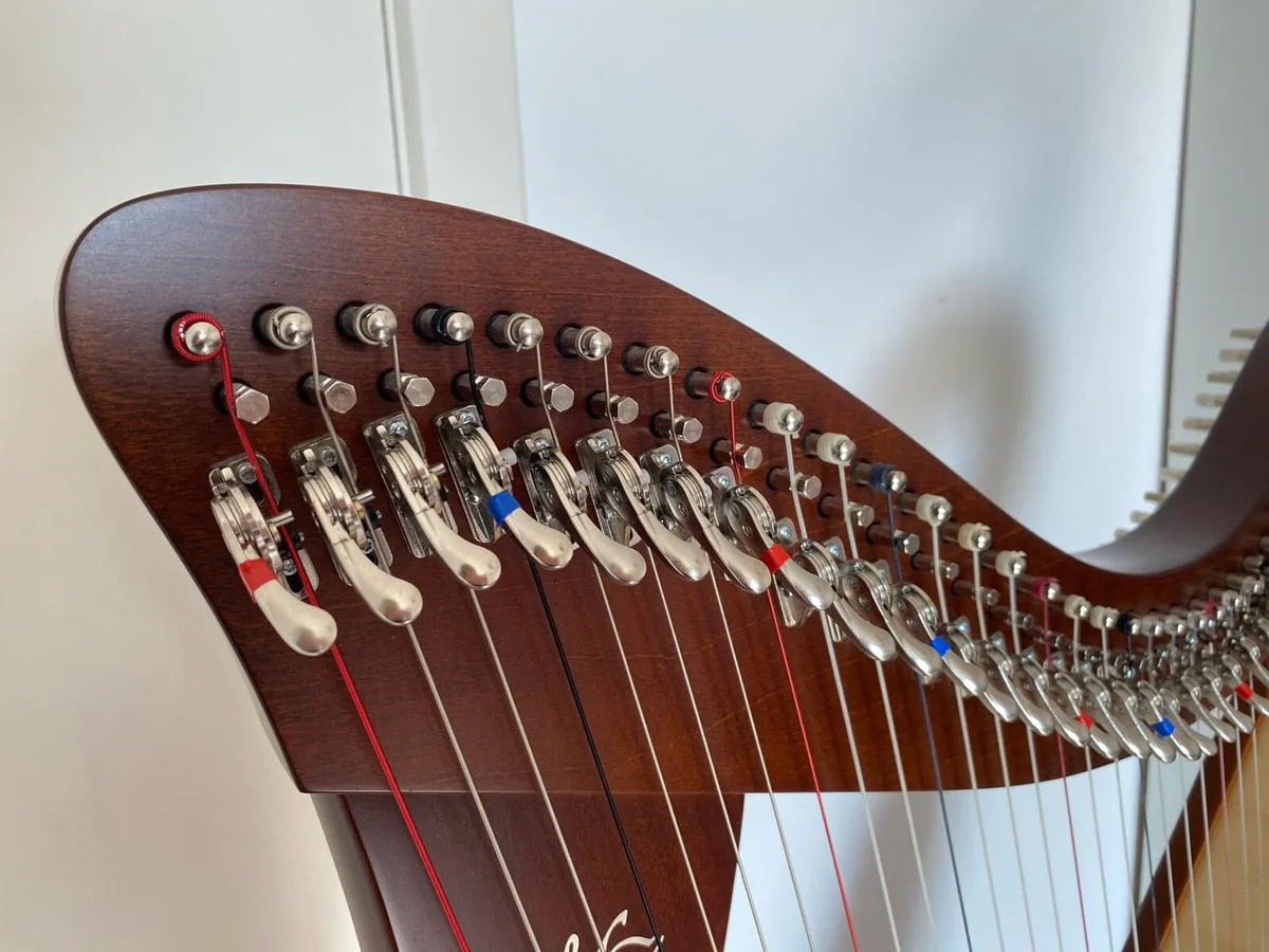 34 String Camac Hermine Harp Walnut - Image 3