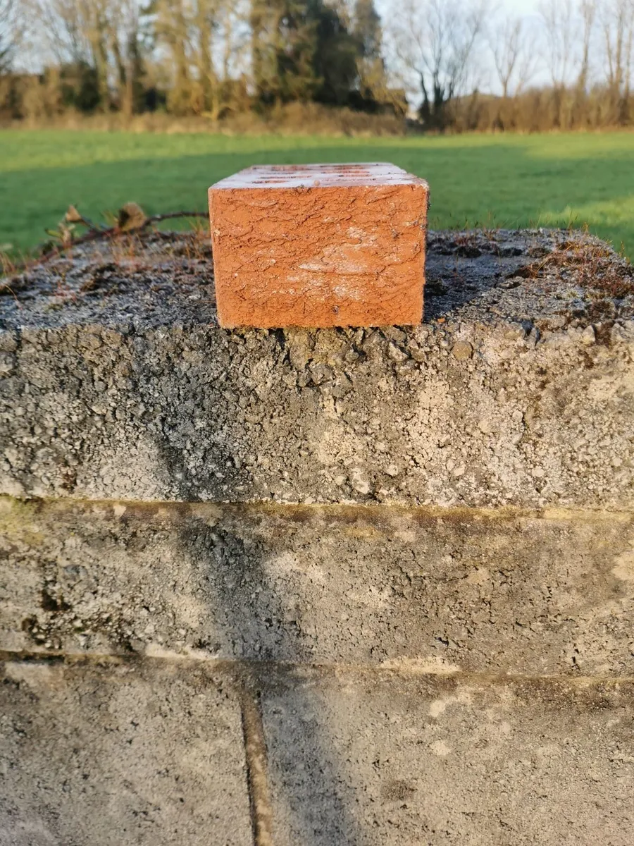 Red bricks - Image 2