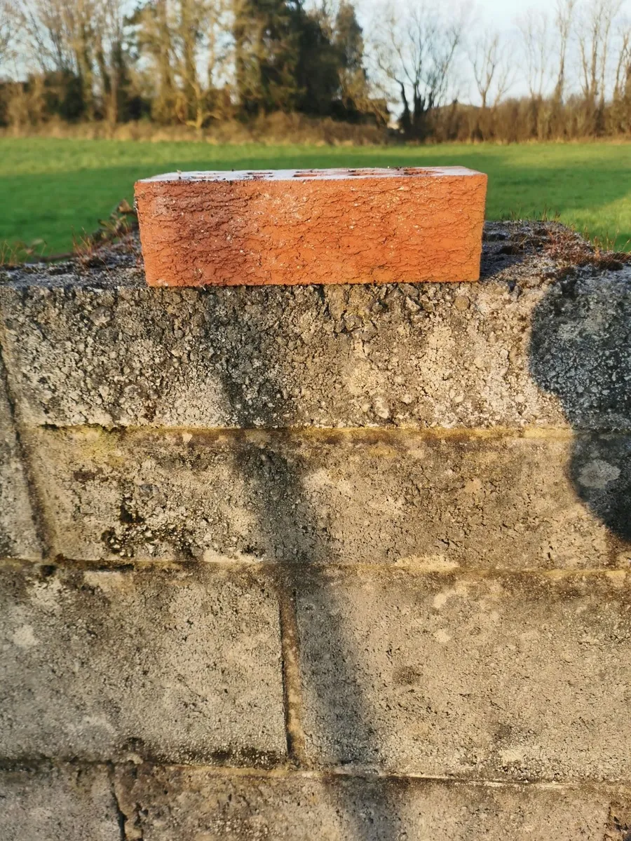 Red bricks - Image 1