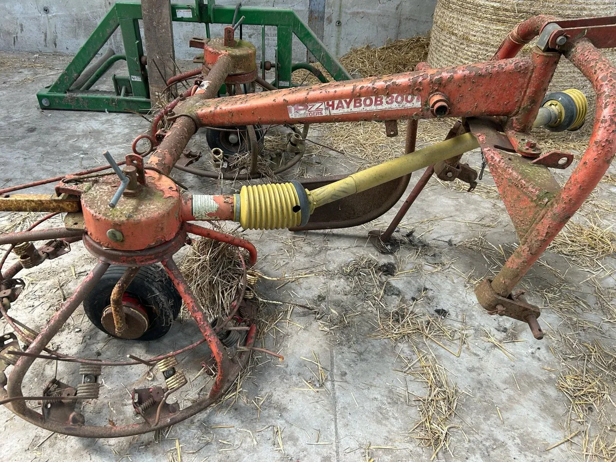 Haybob 300 - Image 1