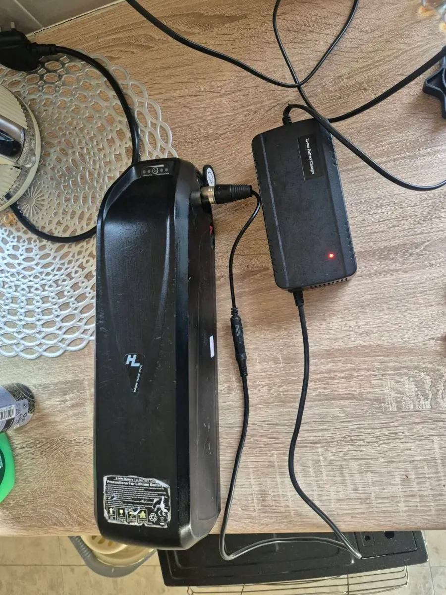 ELECTRIC BATTERY 48V 18AH HAILONG ELECTRIC BIKE BA - Image 2