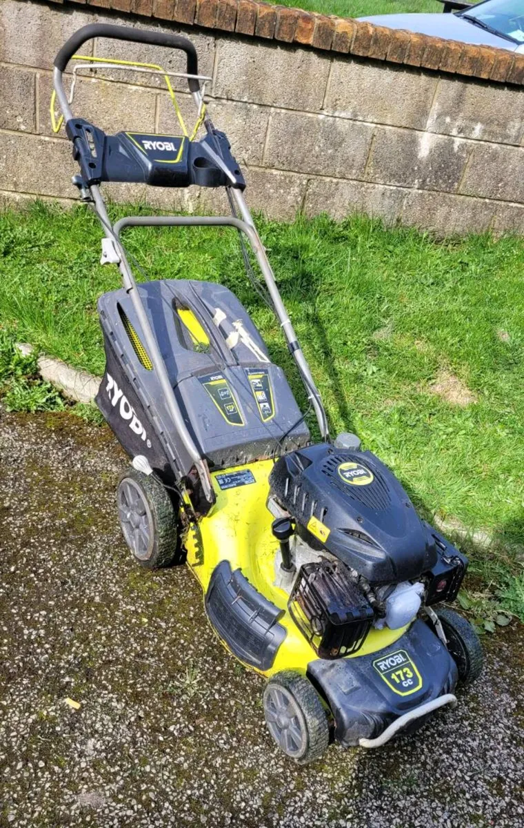 Lawnmower & Strimmer - Image 2