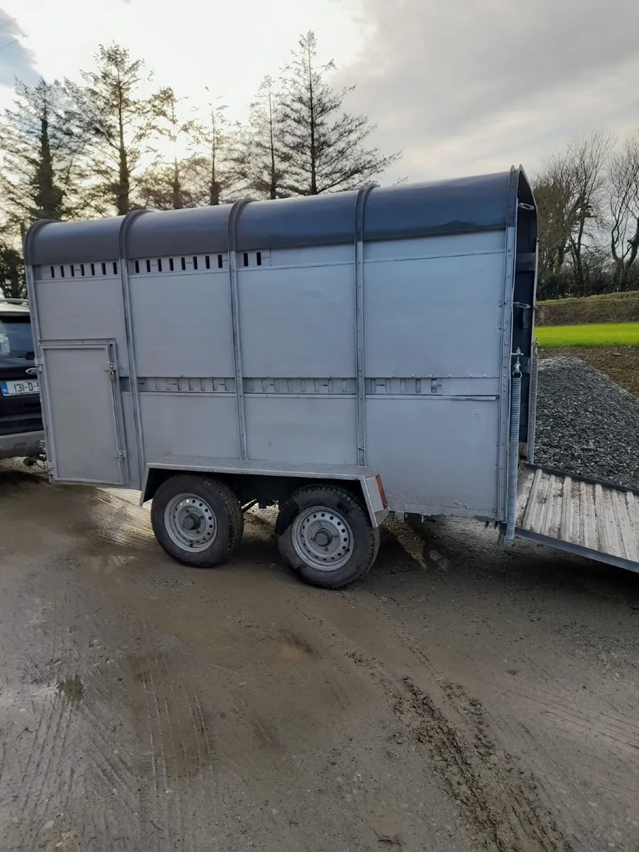 Cattle Box - Image 1