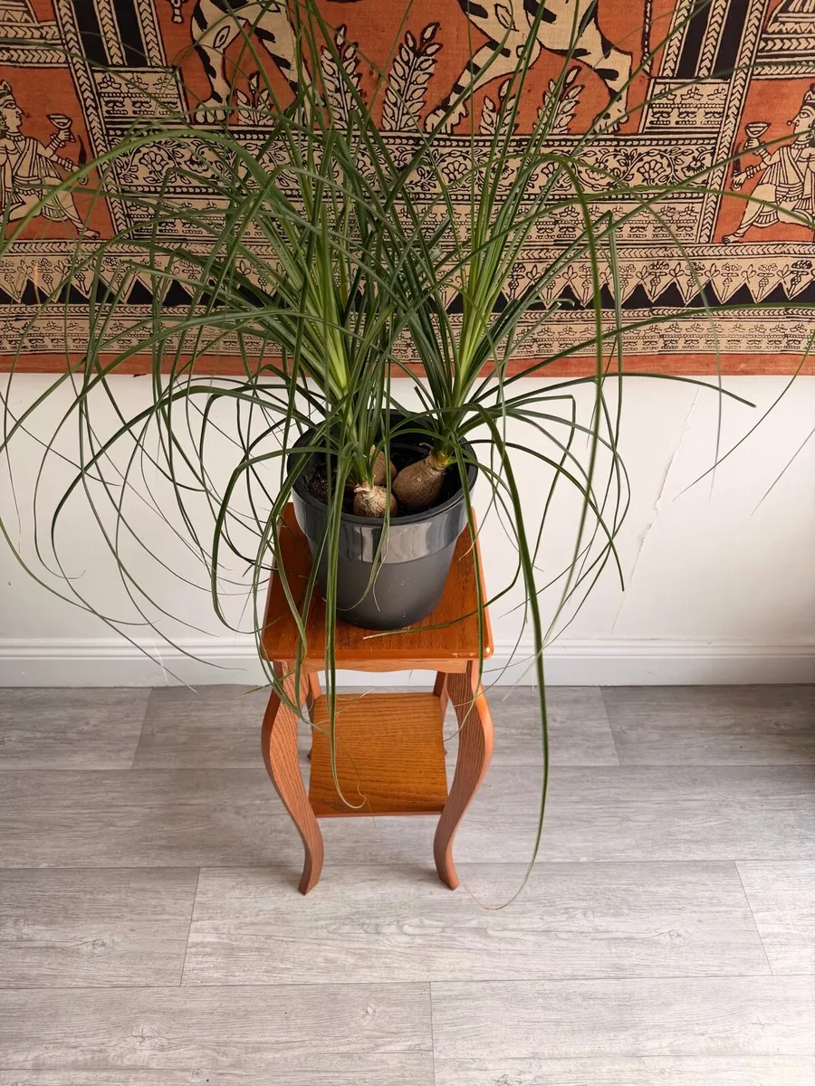 Vintage Plant Stand - Image 4