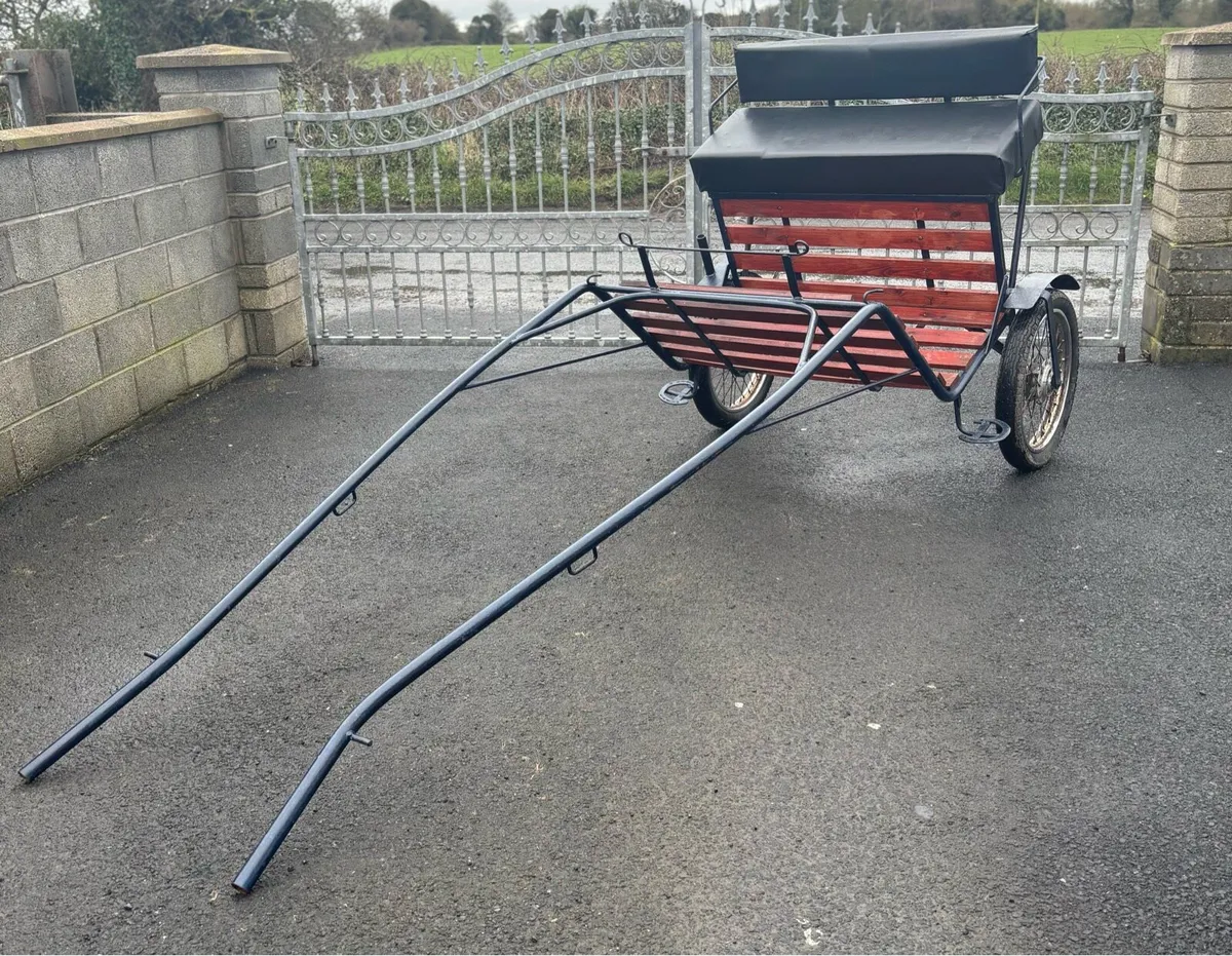New full size Duhig Road Cart - Image 2