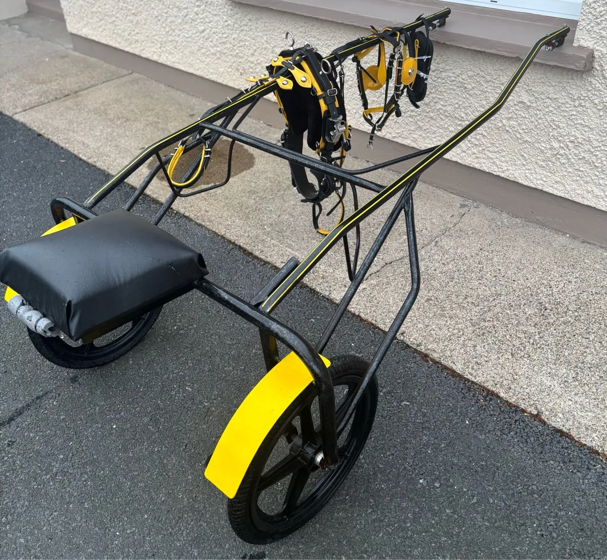 New Pony Turn Out - Image 3