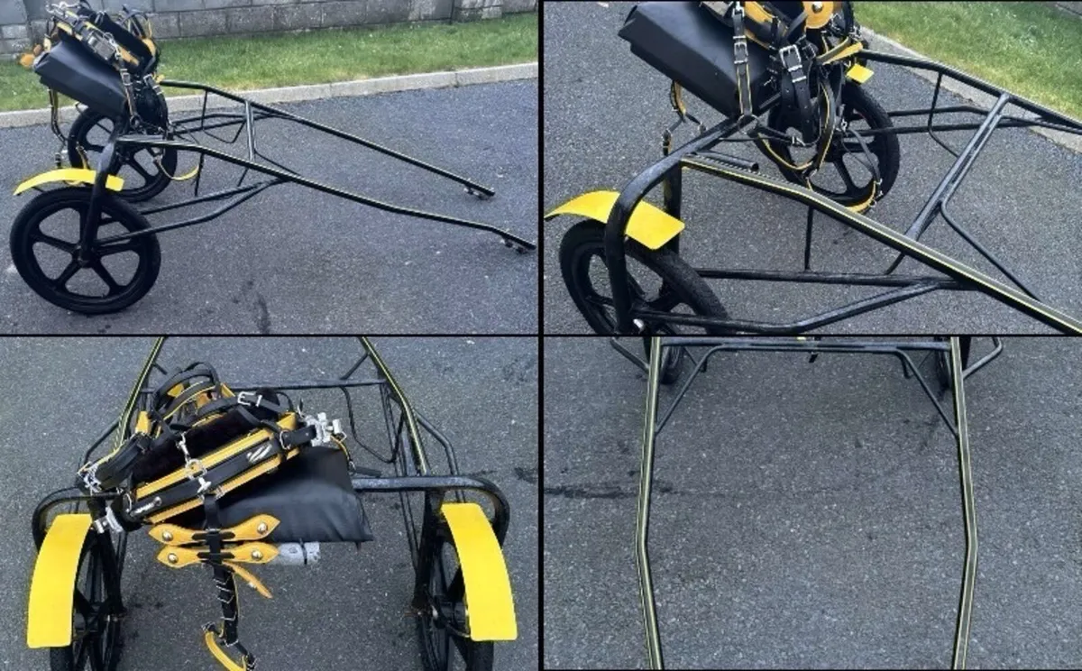 New Pony Turn Out - Image 1