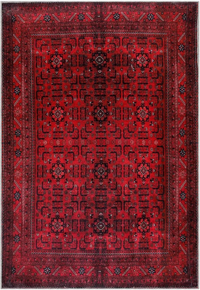 Rugs Living Room - Washable Rug Area Non-Slip - Image 1