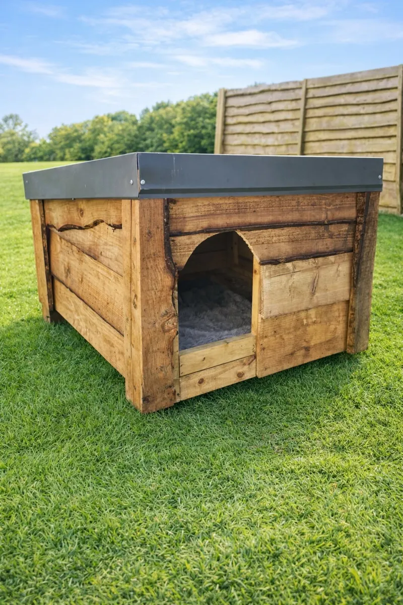 Dog box