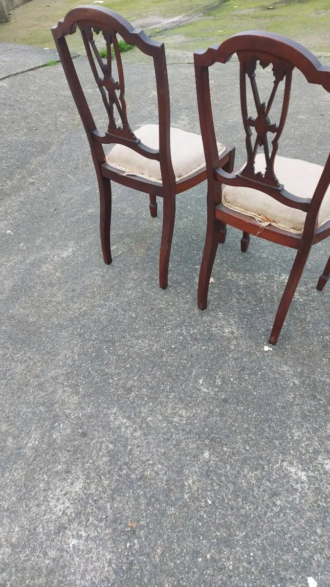 Pair of Edwardian mahogany chairs needs repairs - Image 3