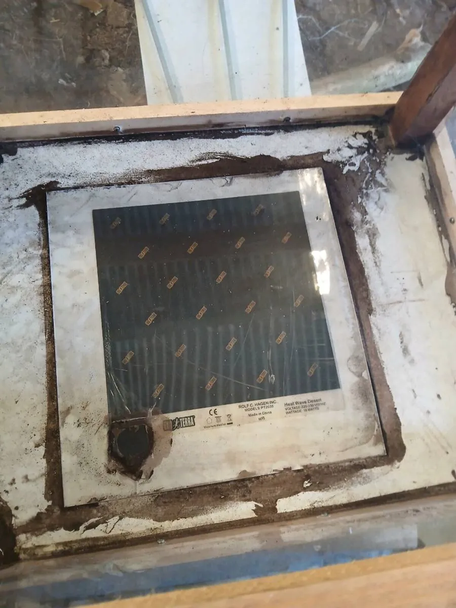 Enclosure with heat mat and lamp - Image 2