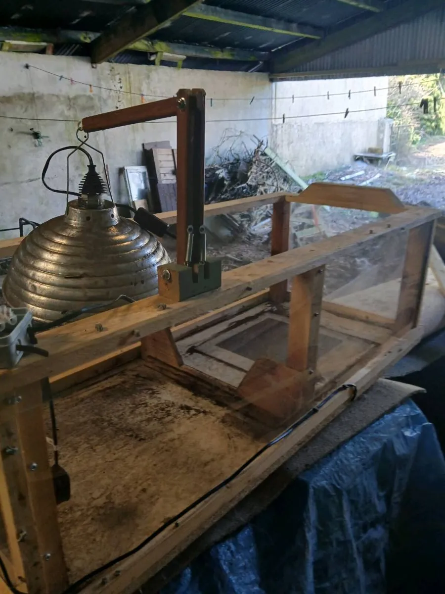 Enclosure with heat mat and lamp - Image 3