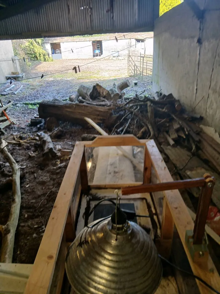 Enclosure with heat mat and lamp - Image 4