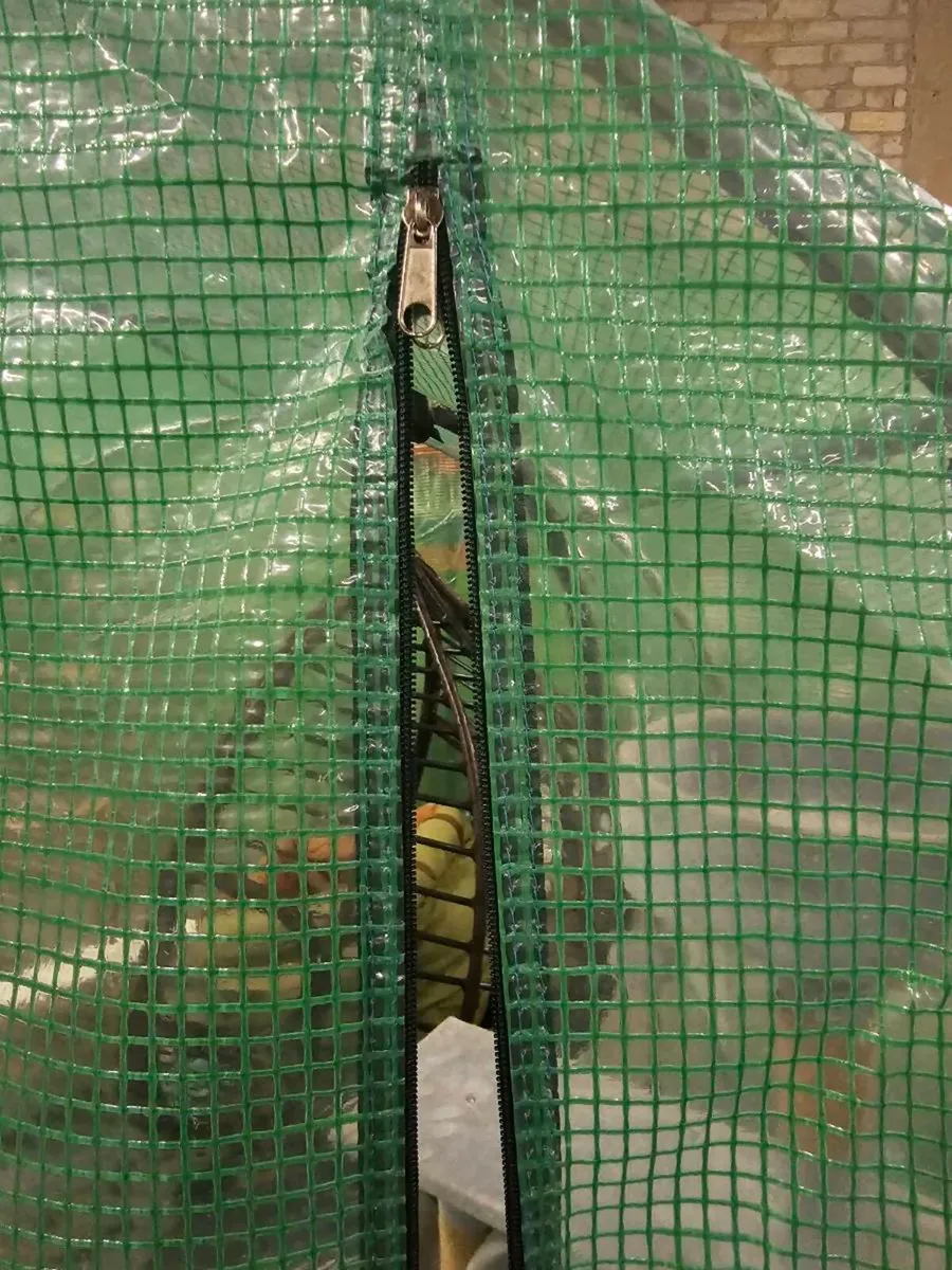 Green house brand new - Image 4