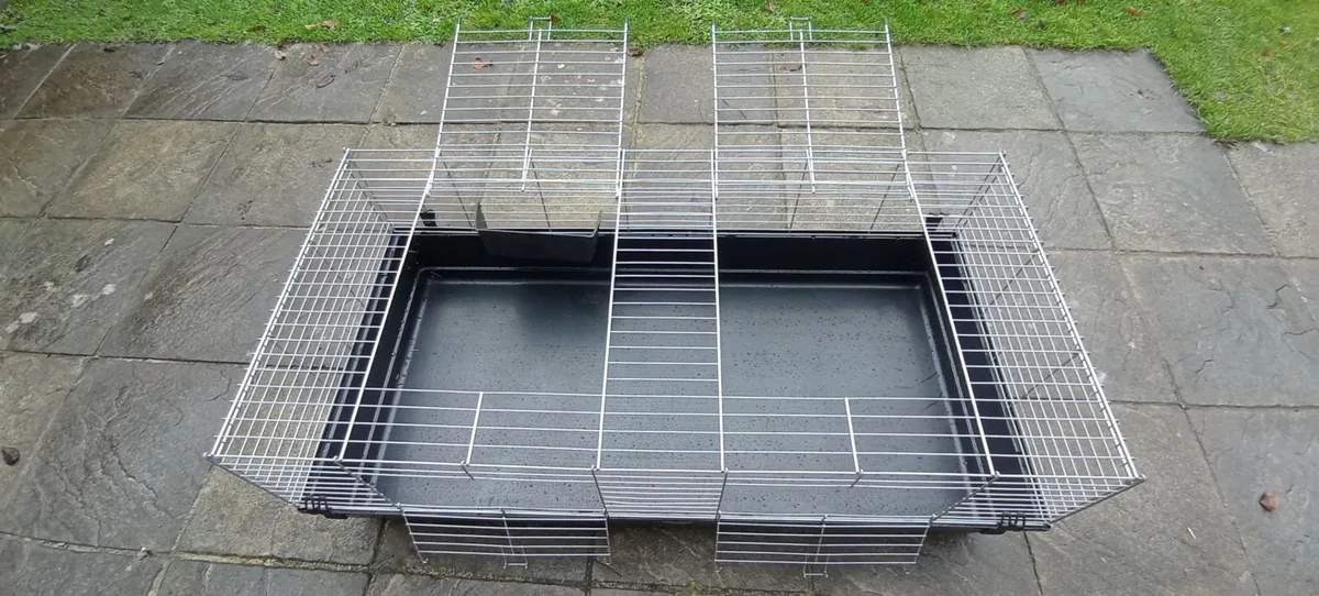 Big cage for rabbit or guinea pig - Image 2