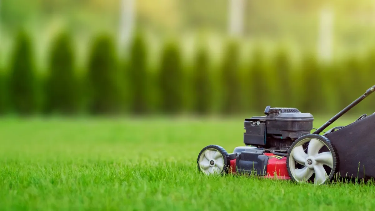 Anyone wants there grass cut in Longford inbox me