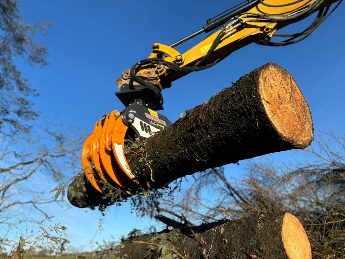 Grab, grapple excavator, digger - Image 3