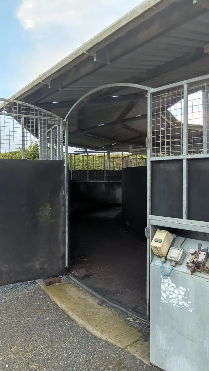 ODON 6 Horse Walker Covered Hydraulic Heavy Duty - Image 3