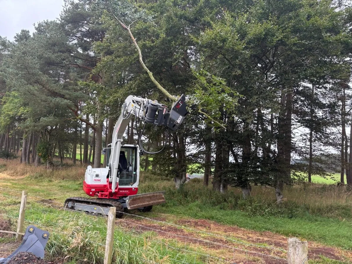 Tree shear - Image 4