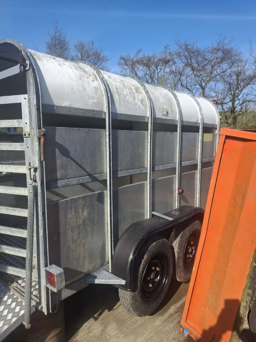 Cattle Trailer - Image 3