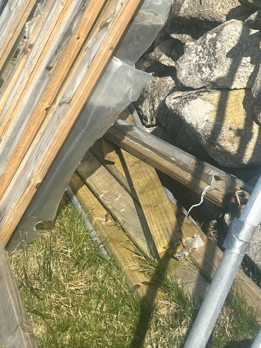 Polytunnel structure - Image 3